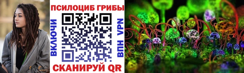 mega как зайти  цена наркотик  сайты даркнета как зайти  Псилоцибиновые грибы GOLDEN TEACHER  Переславль-Залесский 